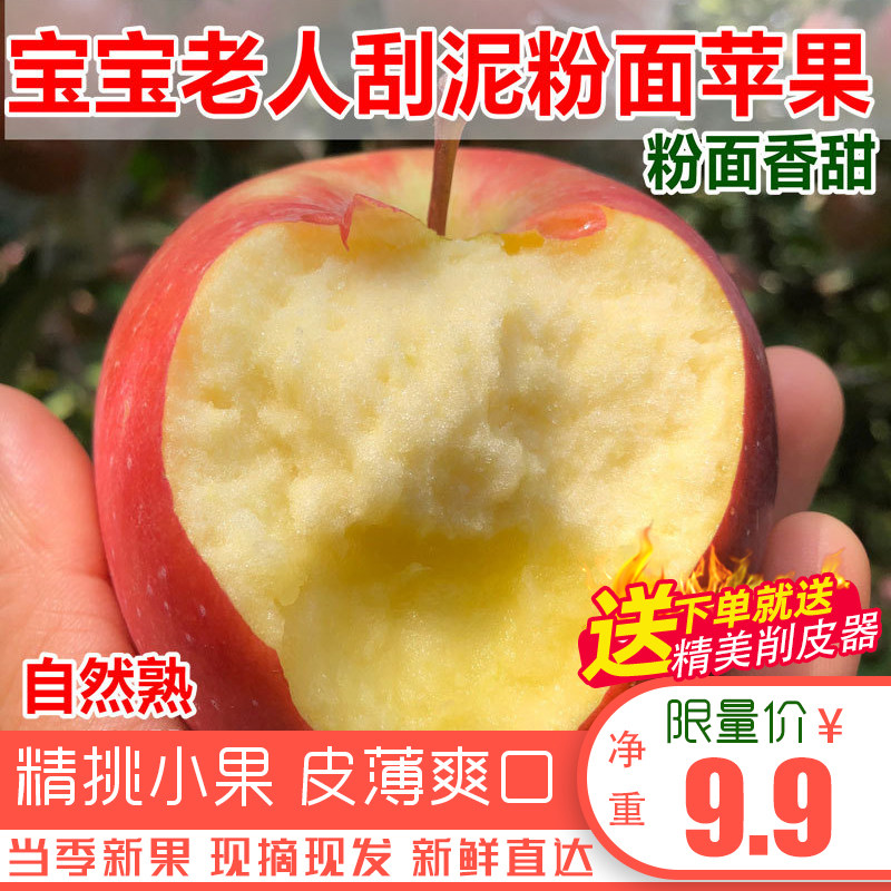 现摘当季粉面沙甜苹果宝宝刮果泥