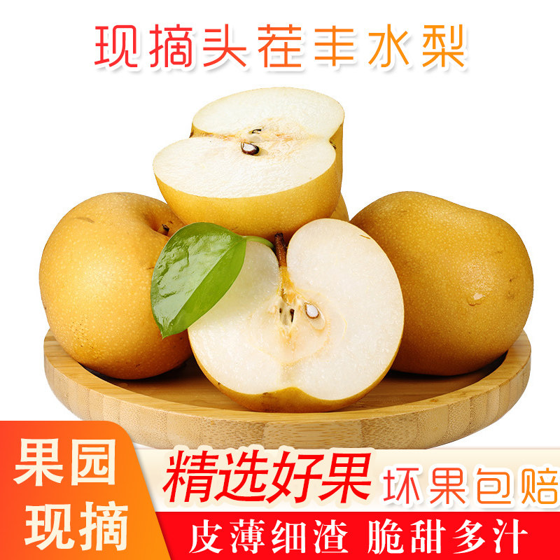 现摘脆甜山东正宗丰水梨