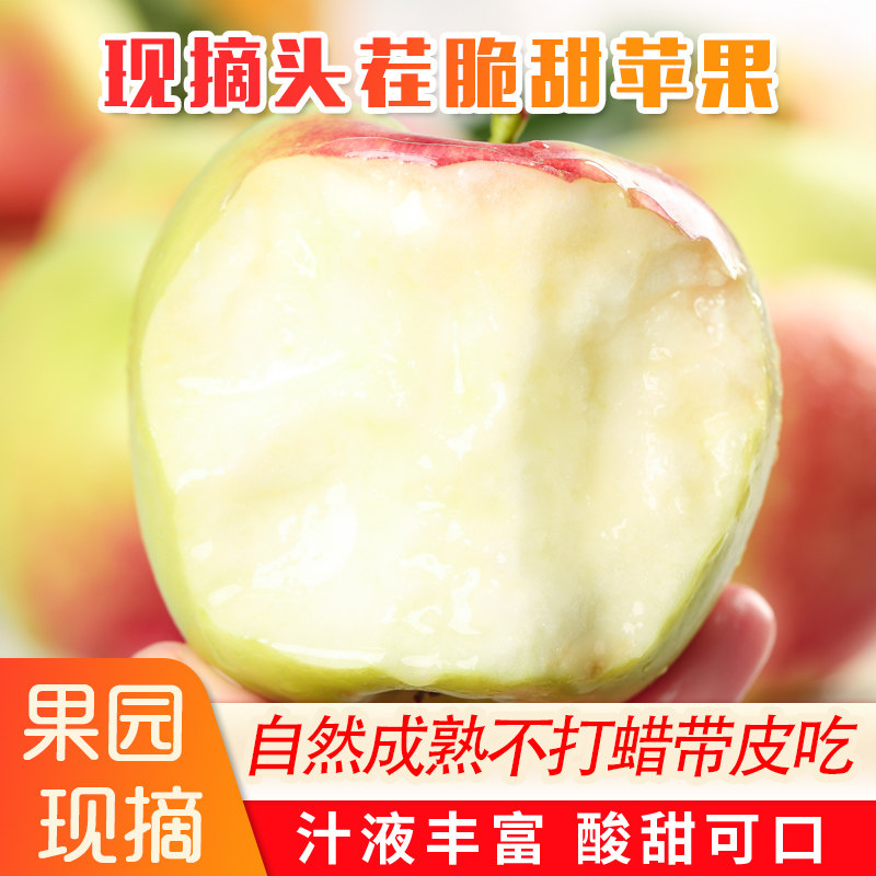 山东新鲜水果当季现摘脆甜丑苹果美八10嘎啦平果整箱5斤特价包邮