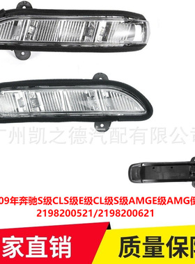 适用04-09年奔驰S级CLS级E级CL级W211W221W219倒车镜灯2198200521