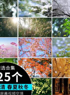秋天冬天夏天春天春夏秋冬四季变化雪景花草浪漫唯美led视频素材