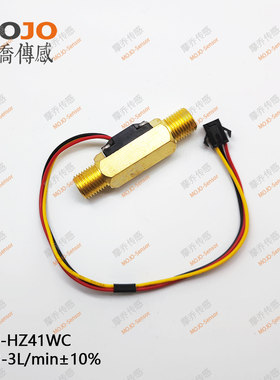 流量计2分外螺纹铜质微型