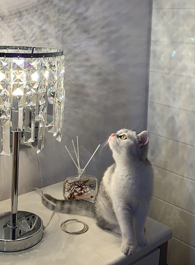 现代k9简欧调色调光遥控金色铬色led卧室床头高级感氛围水晶台灯