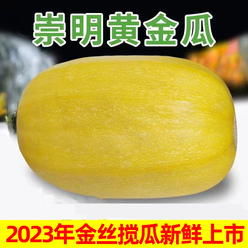 2021崇明岛新鲜金丝绞瓜搅瓜凉拌天然海蜇鱼翅瓜时令瓜3-4斤包邮