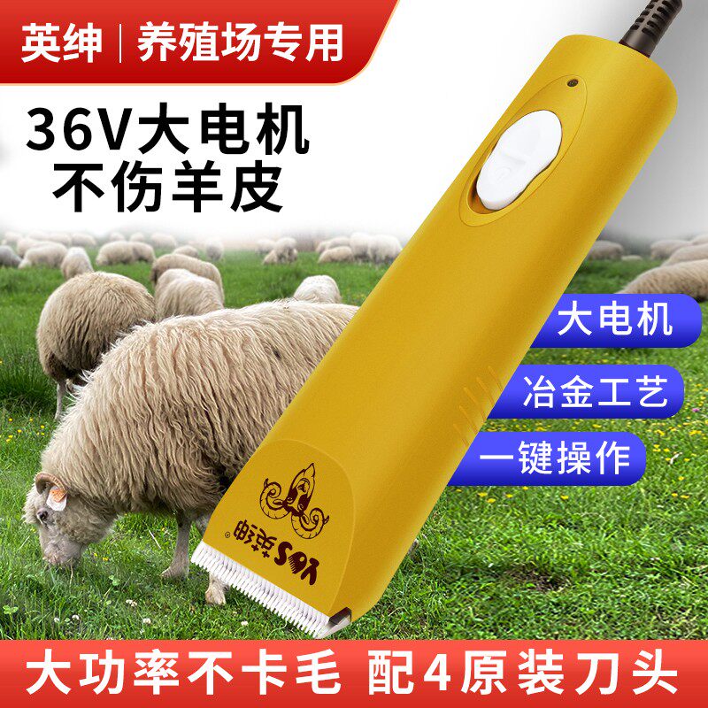 英绅羊毛剪大功率绵羊山羊剃毛器电动剪毛机不伤羊养殖场专用推子