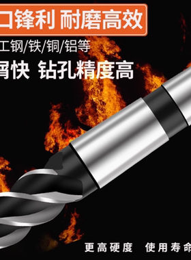 进口高速钢锥柄立铣刀粗齿铣刀 莫氏锥柄铣刀16 18 20 22 25-50mm