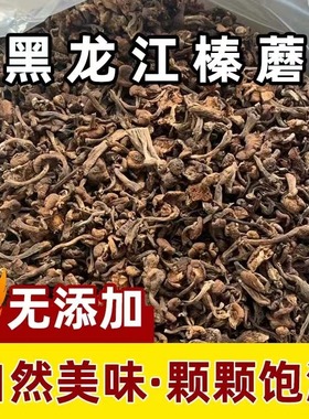 榛蘑东北野生蘑菇丁2024当年新货特产级干货小鸡炖蘑菇煲汤料包