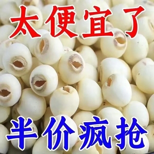 莲子500g干货非特级白莲子去芯磨皮白莲湘潭特产农家自产无芯白莲