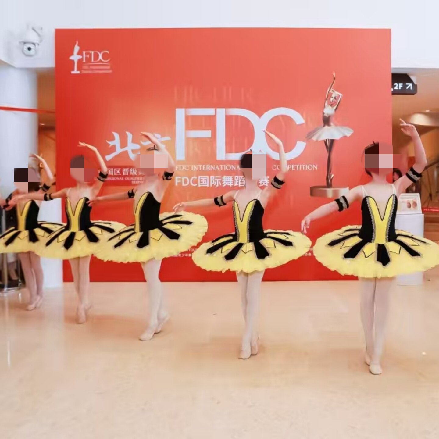 法老的女儿芭蕾舞TUTU裙演出服成人芭蕾舞蓬蓬裙纱裙比赛汇演服装