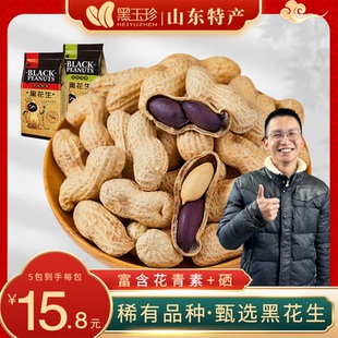 黑玉珍多味黑皮花生150g 原味蒜香新货带壳熟黑花生 正宗山东特产
