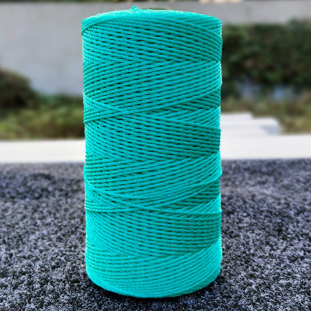 吊秧绳牵引绳蔬菜黄瓜塑料绳聚乙烯尼龙绳爬藤绳子吊蔓植物粗股,鲜花速递/花卉仿真/绿植园艺,打草绳等其他绳子,淘宝优惠券,粉丝福利购,淘宝优惠卷