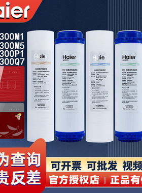 海尔施特劳斯智净净水器机HSNF300B1/P1/P8/M5H/M1/A1/Q7/Q8滤芯