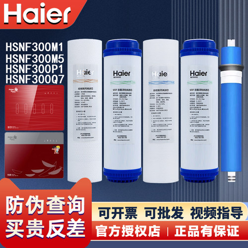 海尔施特劳斯M5/P1H/Q7/M1滤芯