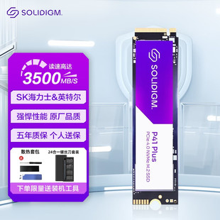 SSD电脑固态硬盘 SOLIDIGM M.2接口SK海力士 512G P44 Pro P41