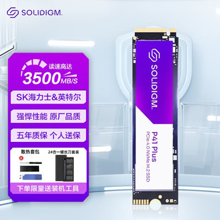 512G M.2接口SK海力士 P44 Pro P41 SSD电脑固态硬盘 SOLIDIGM