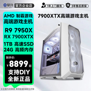 攀升AMD 机RX7900XTX整机电脑高配电竞 R9高端7900X主机吃鸡台式