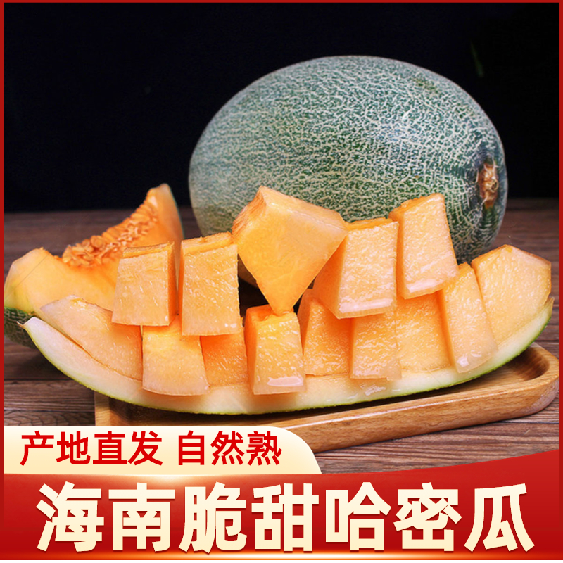 海南特产哈密瓜应季新鲜脆甜多汁西洲蜜瓜现摘现发网纹瓜孕妇水果