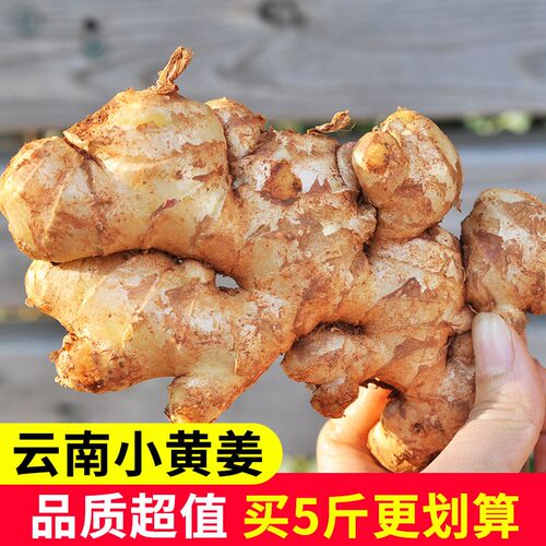云南小黄姜月子姜现挖沙姜