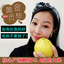 Huaihua golden gong pomelo fresh fruits of the season red flesh honey pomelo 10 jin 5 jin non red heart pomelo Shatian pomelo