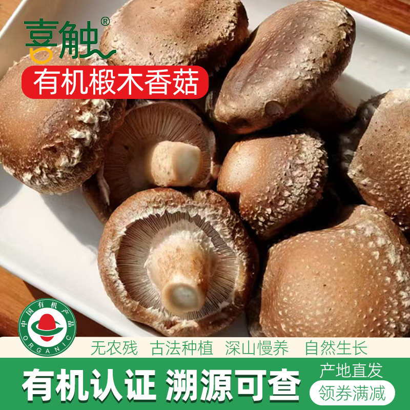 有机椴木新鲜香菇无农药古法种植老人孕妇儿童炒菜煲汤菌菇食材