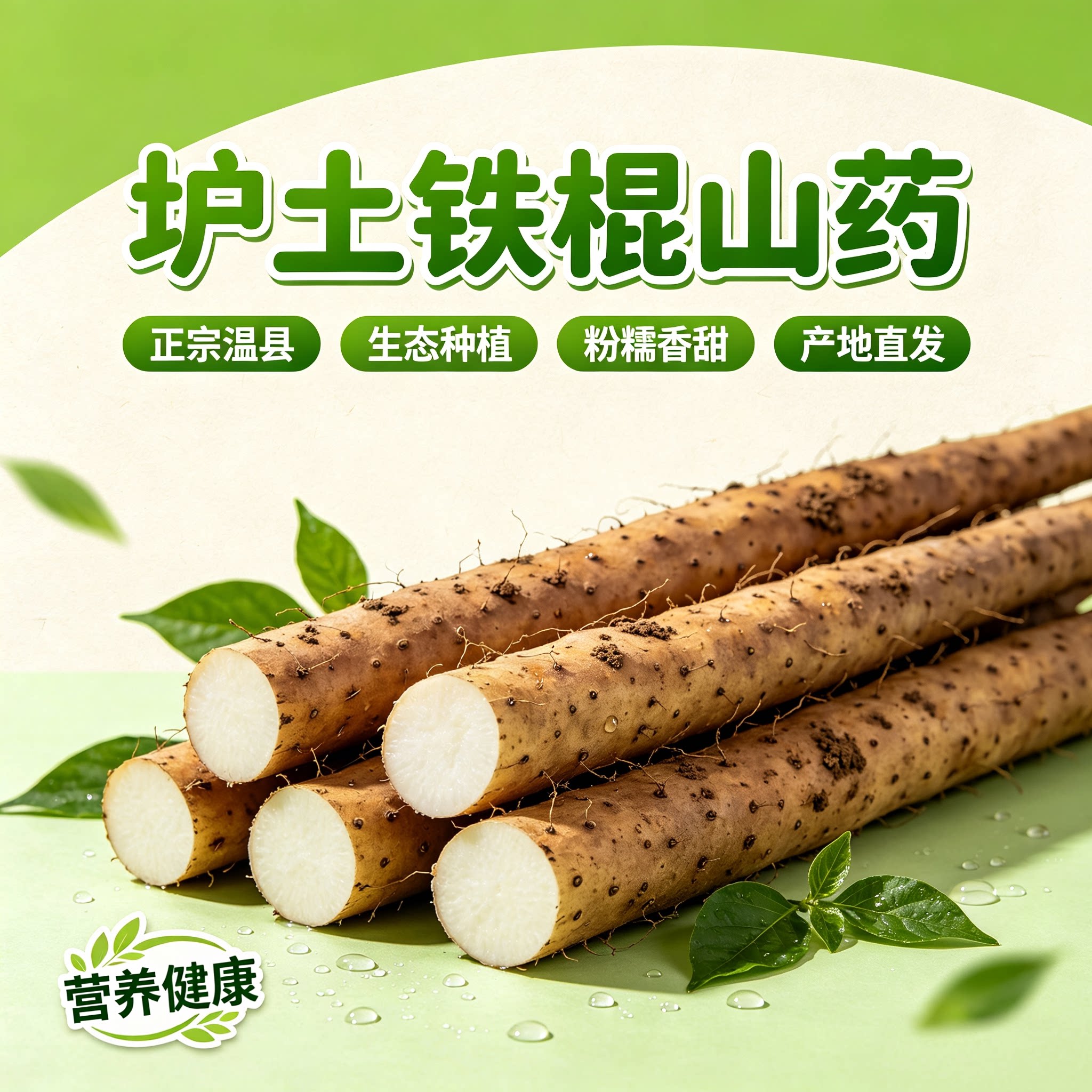 正宗河南特产 温县垆土铁棍山药 古法种植 新鲜怀淮山药 产地直发