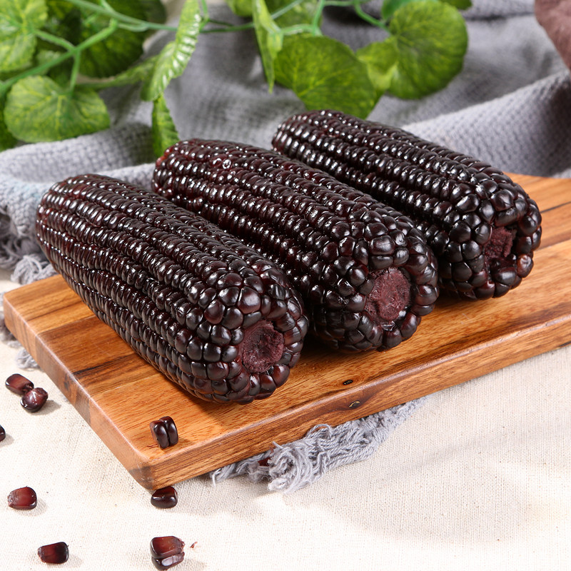 小农仙有机黑糯玉米礼盒装无农药不染色非转基因苞谷粗粮早餐代餐