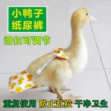 Уклонный дерьмо, мочеиспускание без мокрого пердежа, утиные подгузники навозные навозные карманы Kell Duck Pet Goose Одежда