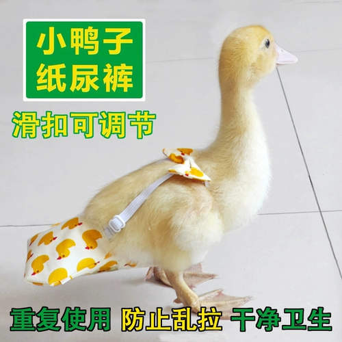 Уклонный дерьмо, мочеиспускание без мокрого пердежа, утиные подгузники навозные навозные карманы Kell Duck Pet Goose Одежда