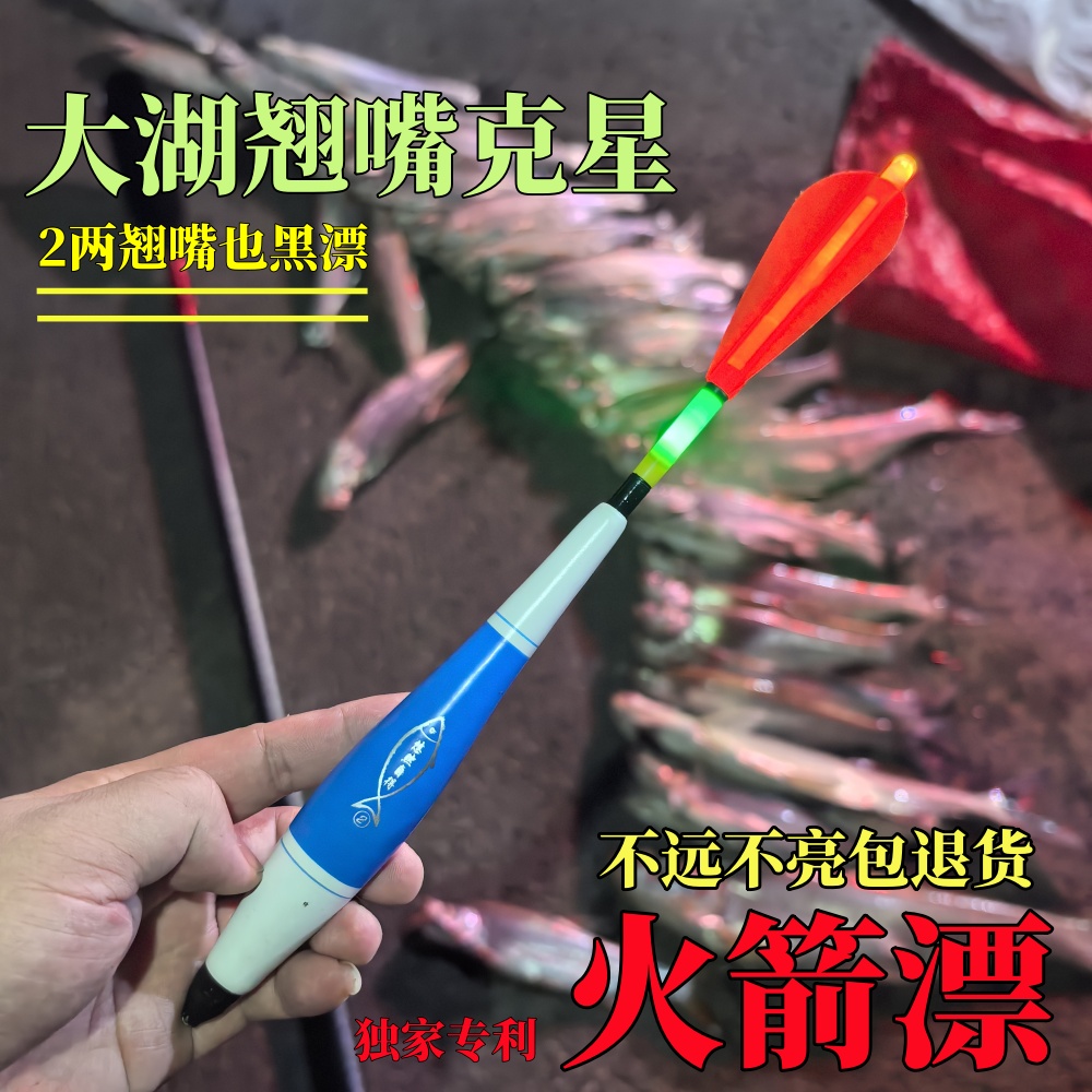 火箭漂浮漂电子夜光漂两用