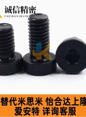 FCBS4/5/6/8-10/12/14/16/18-18/20/30替代短头内六角螺栓