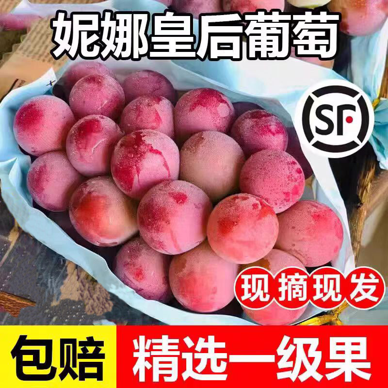 妮娜皇后葡萄当季新鲜无籽多肉
