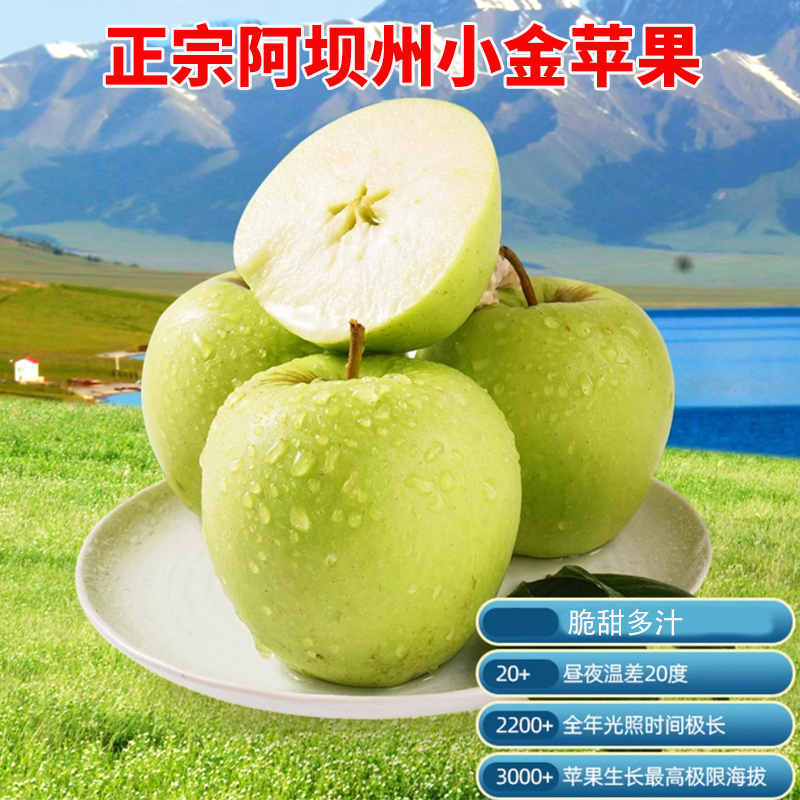 四川阿坝小金苹果果肉细腻