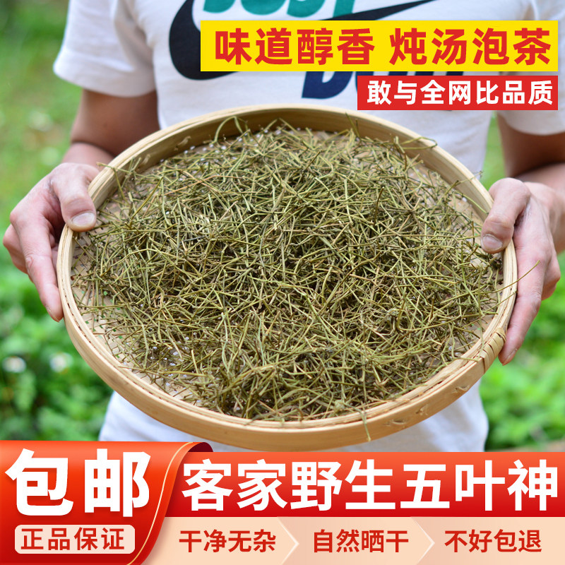 野生五叶神500g广东夏季煲汤汤料草泡茶炖汤客家土特产干货聚客家