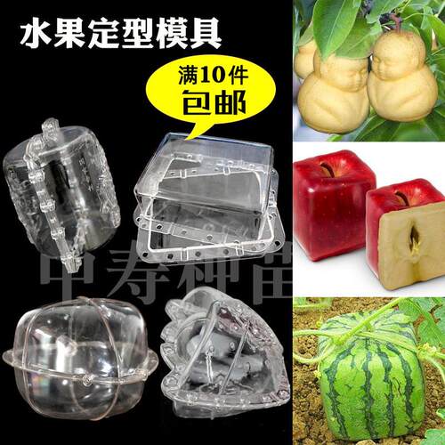 水果定型模具方心形西瓜塑料模型
