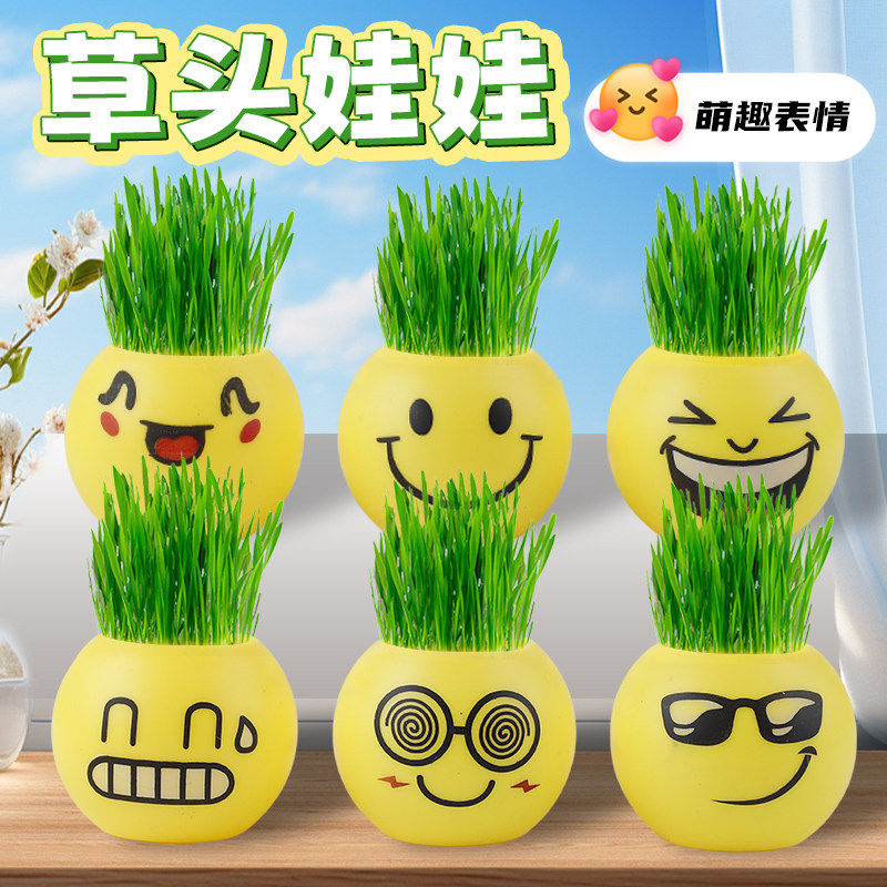 草头娃娃迷你小盆栽植物观察生长绿植创意学生奖品开学季儿童礼物