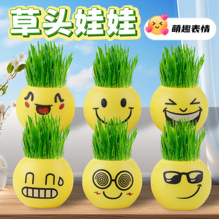 草头娃娃迷你小盆栽植物观察生长绿植创意学生奖品开学季儿童礼物