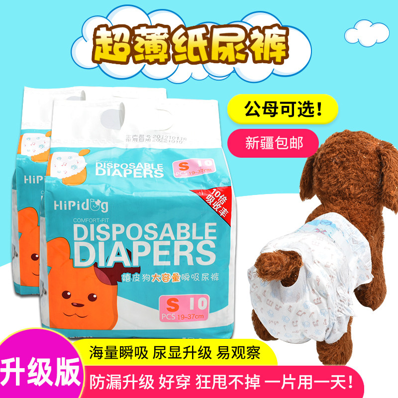 小狗狗小狗狗泰迪宠物