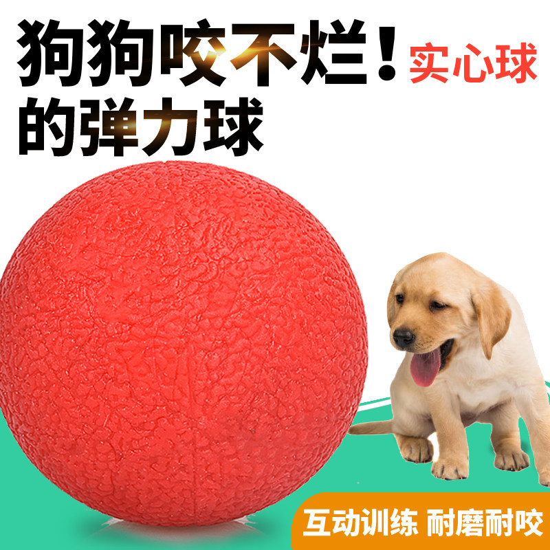 狗狗玩具球包邮幼犬实心球大型犬马犬磨牙弹力球宠物狗训练,宠物/宠物食品及用品,橡胶球/球形玩具,淘宝优惠券,粉丝福利购,淘宝优惠卷