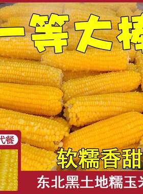 非转基因粗粮甜糯玉米