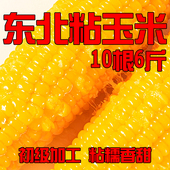 东北甜糯玉米10根蒸煮15分钟半熟发货粘香糯甜苞玉米甜糯粘新鲜