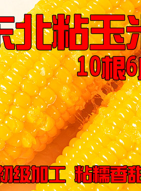 新鲜速制甜糯玉米软糯香甜