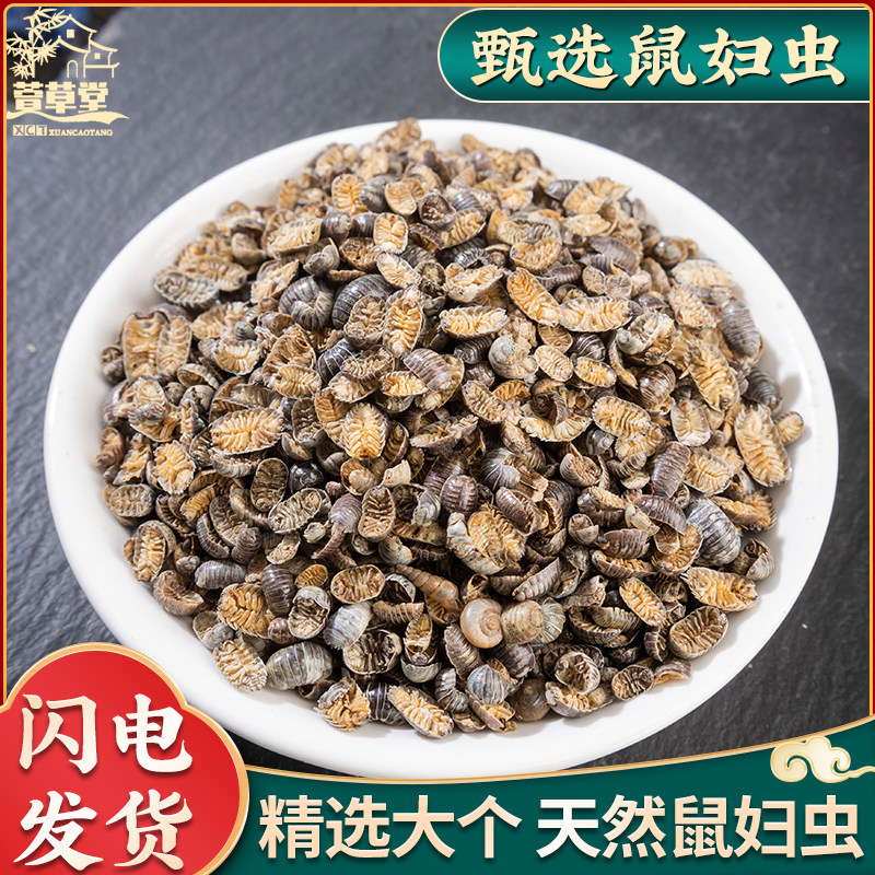 鼠妇中药500g克中药材鼠妇虫别名潮虫子团子虫地虱婆地虱子西瓜虫