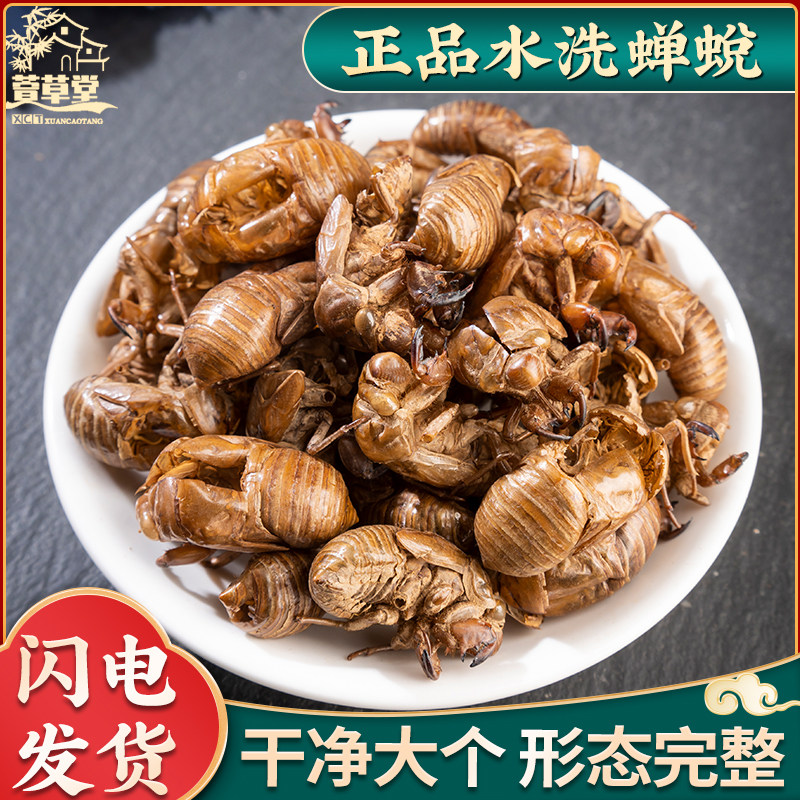 野生蝉蜕100g克蝉衣新货金蝉衣知了皮知了壳虫退蝉退壳中药材包邮