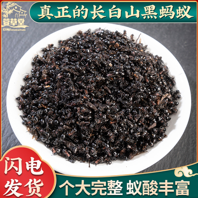 精选黑蚂蚁干500g养生泡酒料