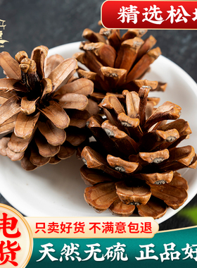 松塔500g克中药材 松塔 松球 松果 椁树核桃 蛇皮松果 白松果松塔