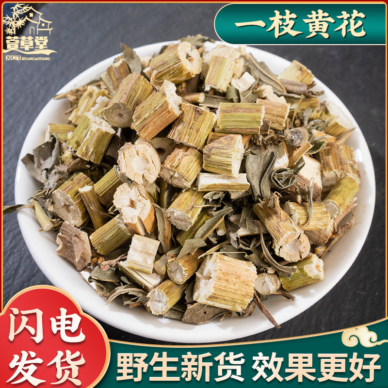 正品野生一枝黄花中药材500g金锁钥老虎尿一支黄花新鲜干货中草药