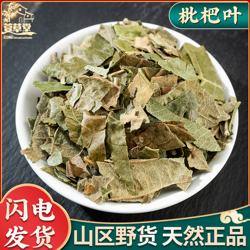 野生枇杷叶500g克中药材 枇杷叶干枇杷叶茶新鲜正品琵琶叶批把叶