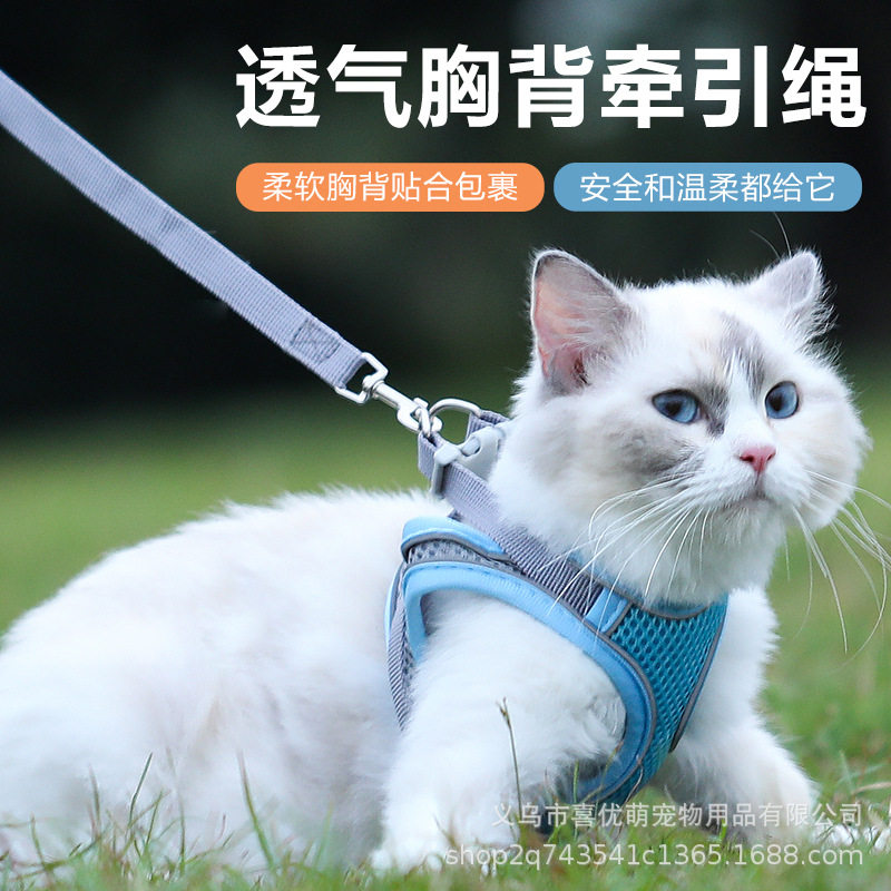猫猫用品新款猫咪牵引绳透气背心式反光遛猫绳跨境猫咪胸背带伸缩,宠物/宠物食品及用品,猫牵引绳,淘宝优惠券,粉丝福利购,淘宝优惠卷