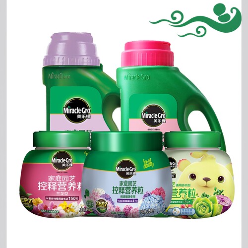 广东美乐棵通用绿植月季绣球花卉