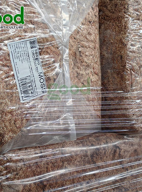 进口水苔智利水草兰花种植土